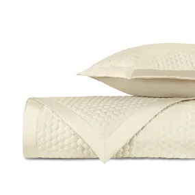 Apiary Quilted Ivory by Home Treasures