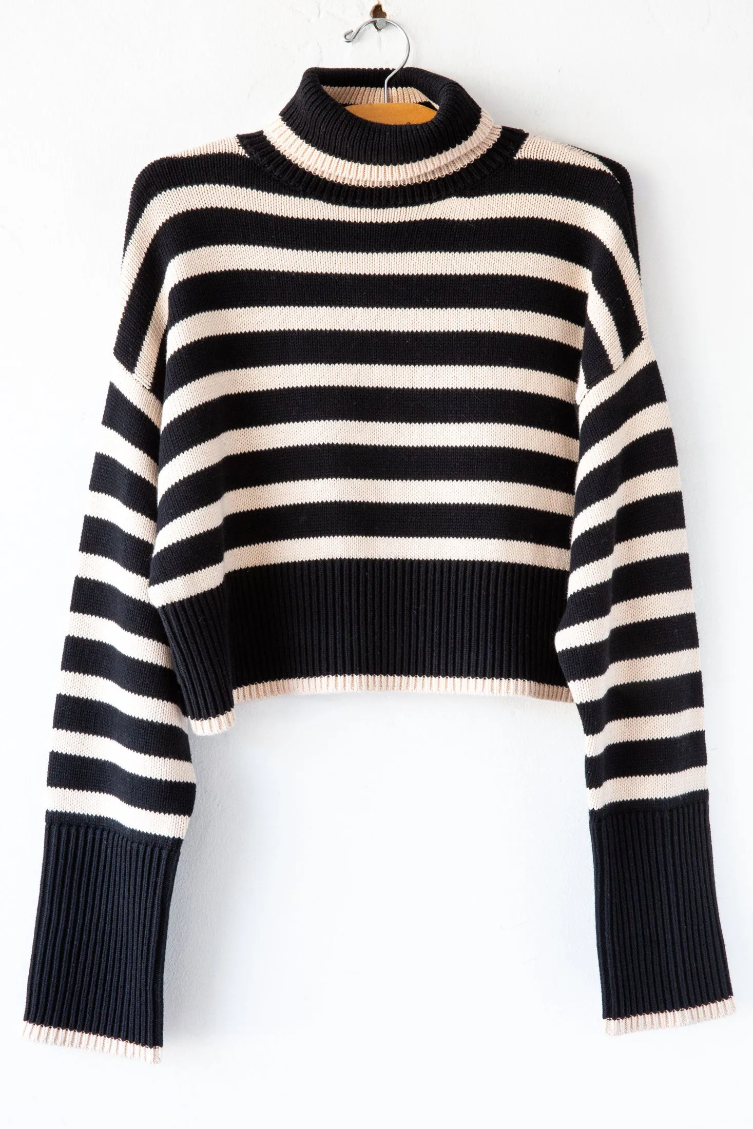 Crop Stripe Turtleneck