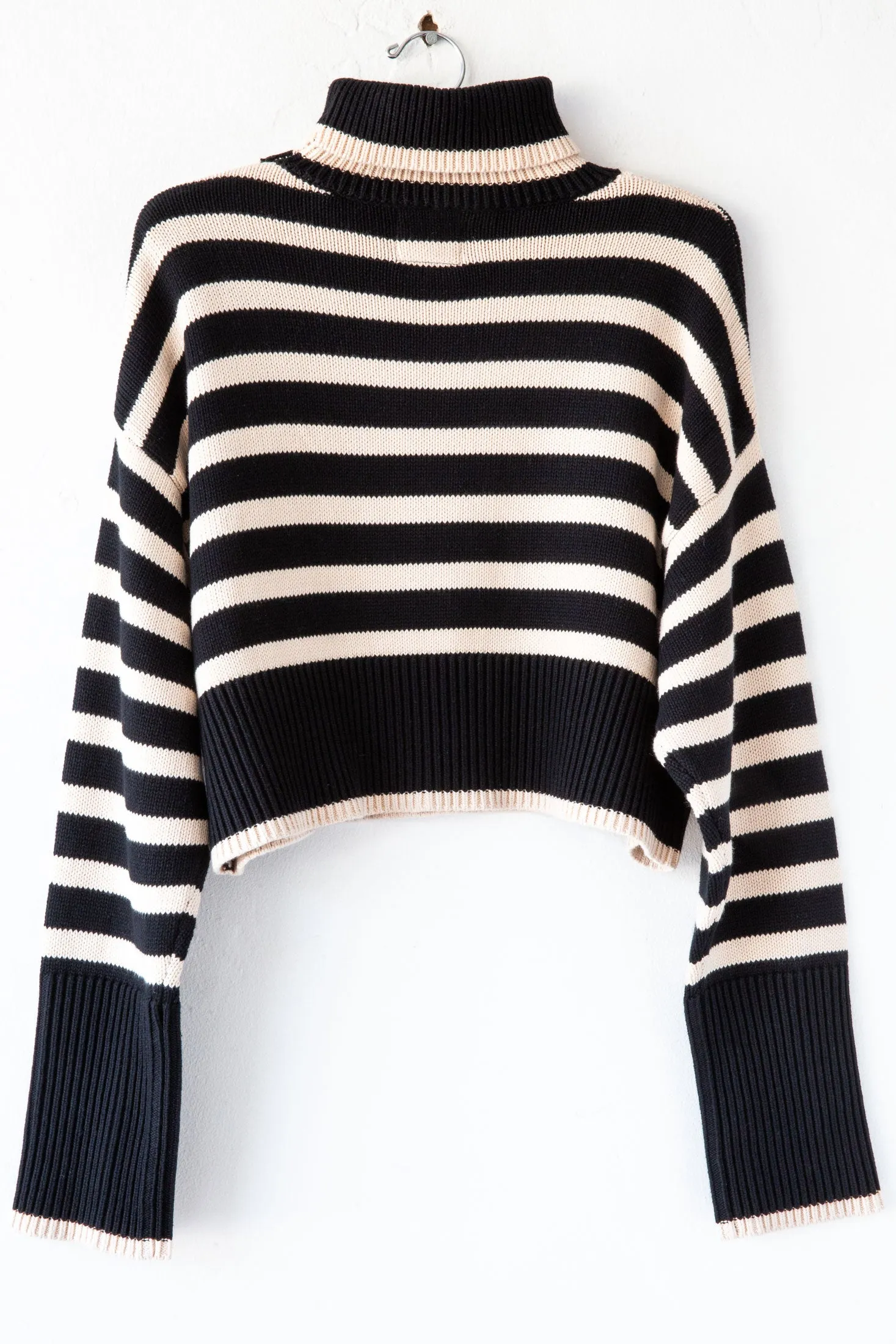 Crop Stripe Turtleneck