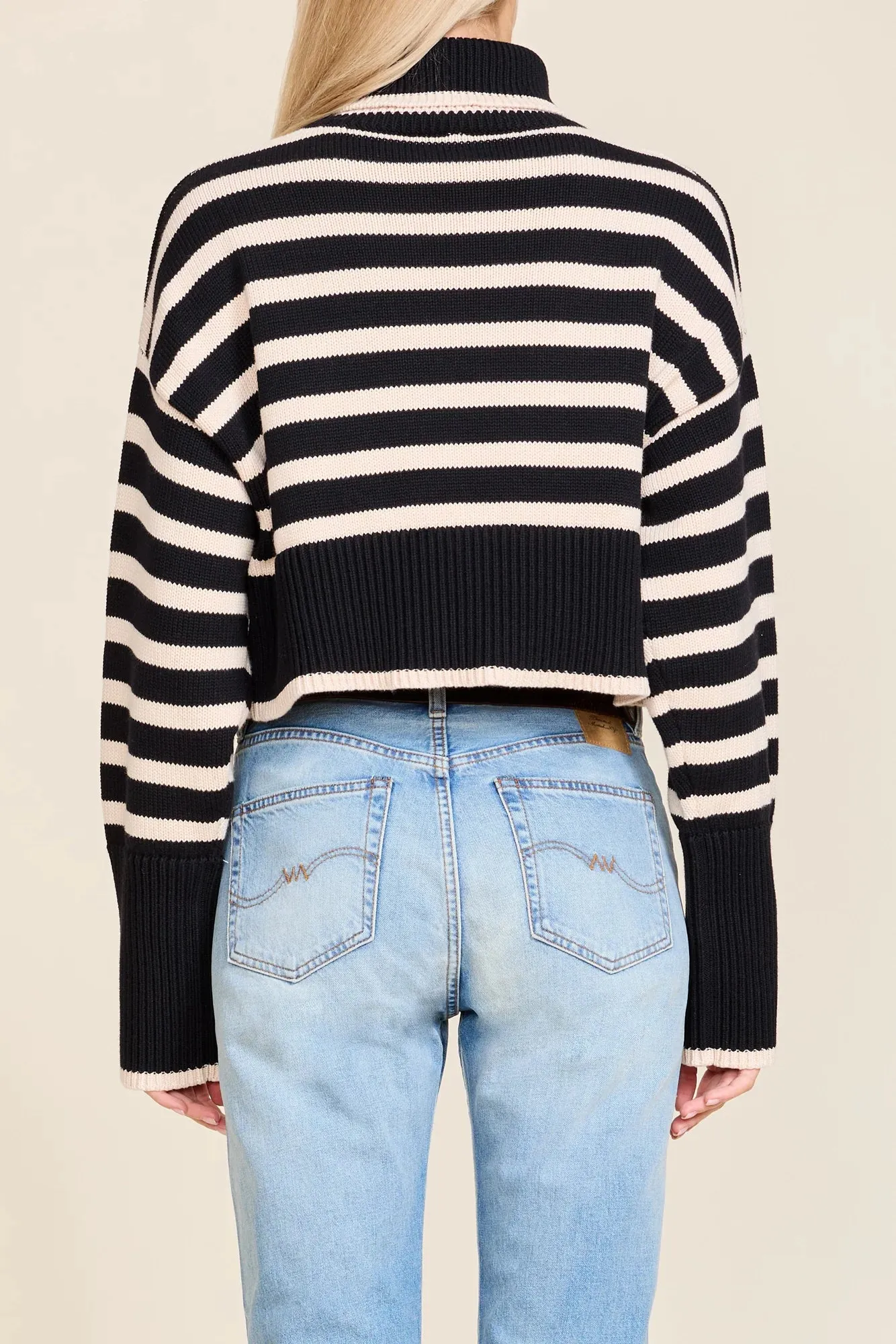 Crop Stripe Turtleneck