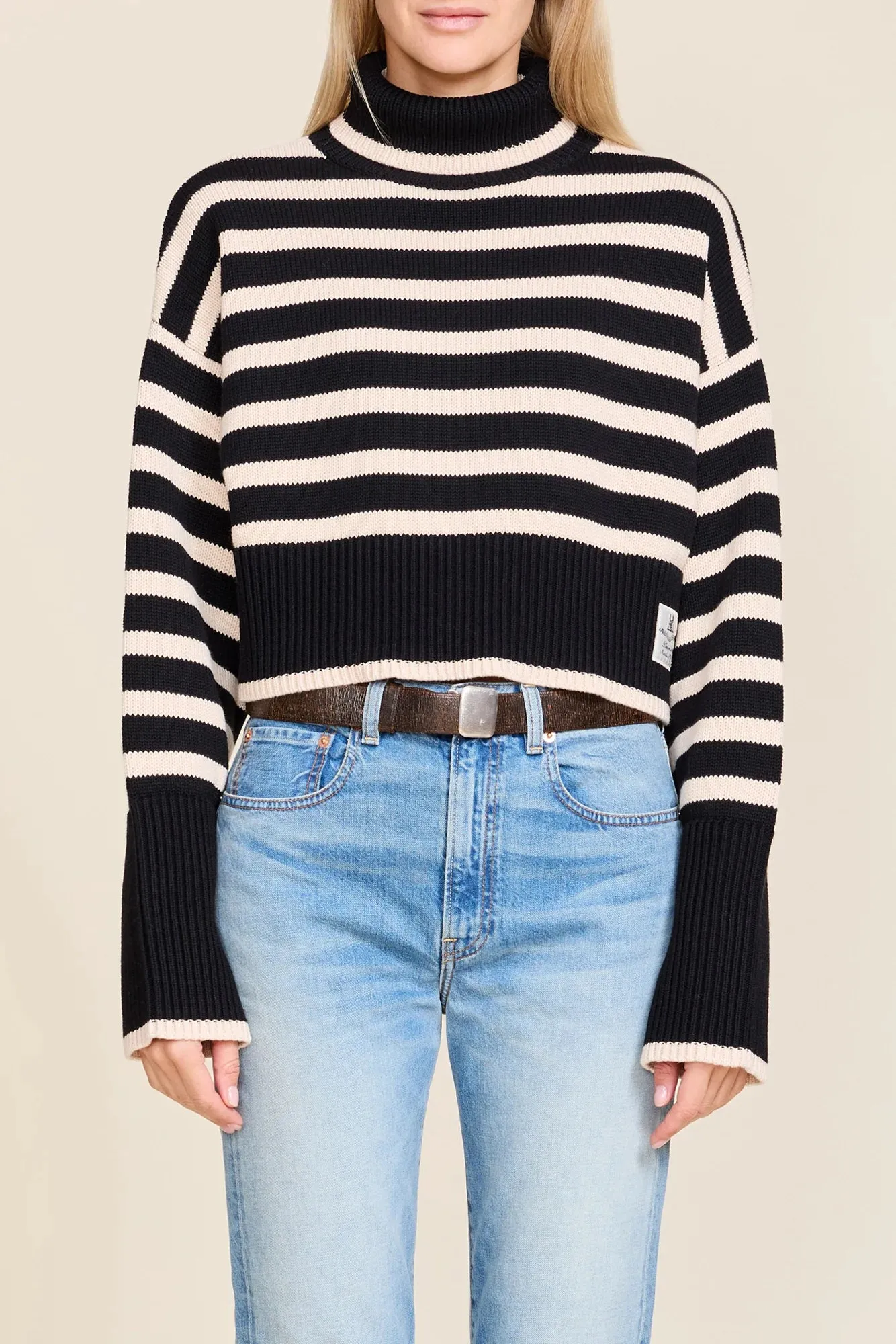 Crop Stripe Turtleneck