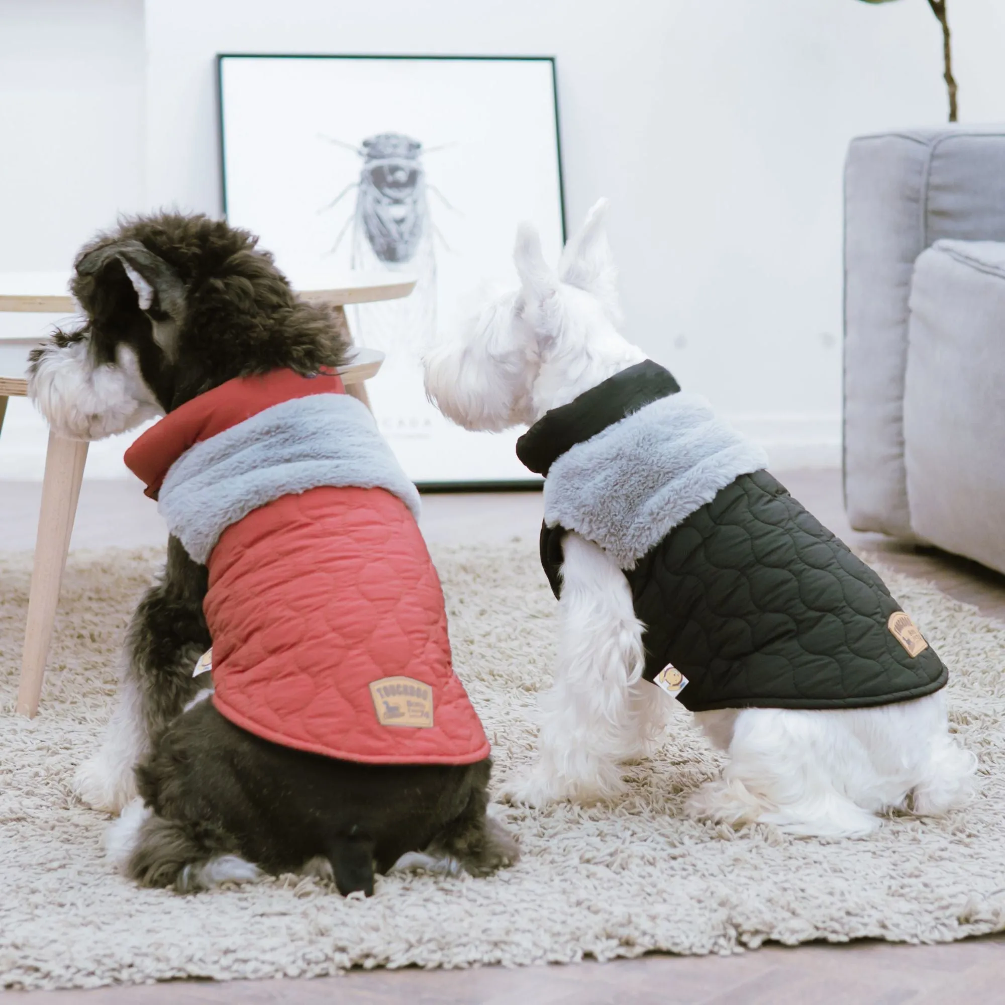 Dog Fleece Jacket