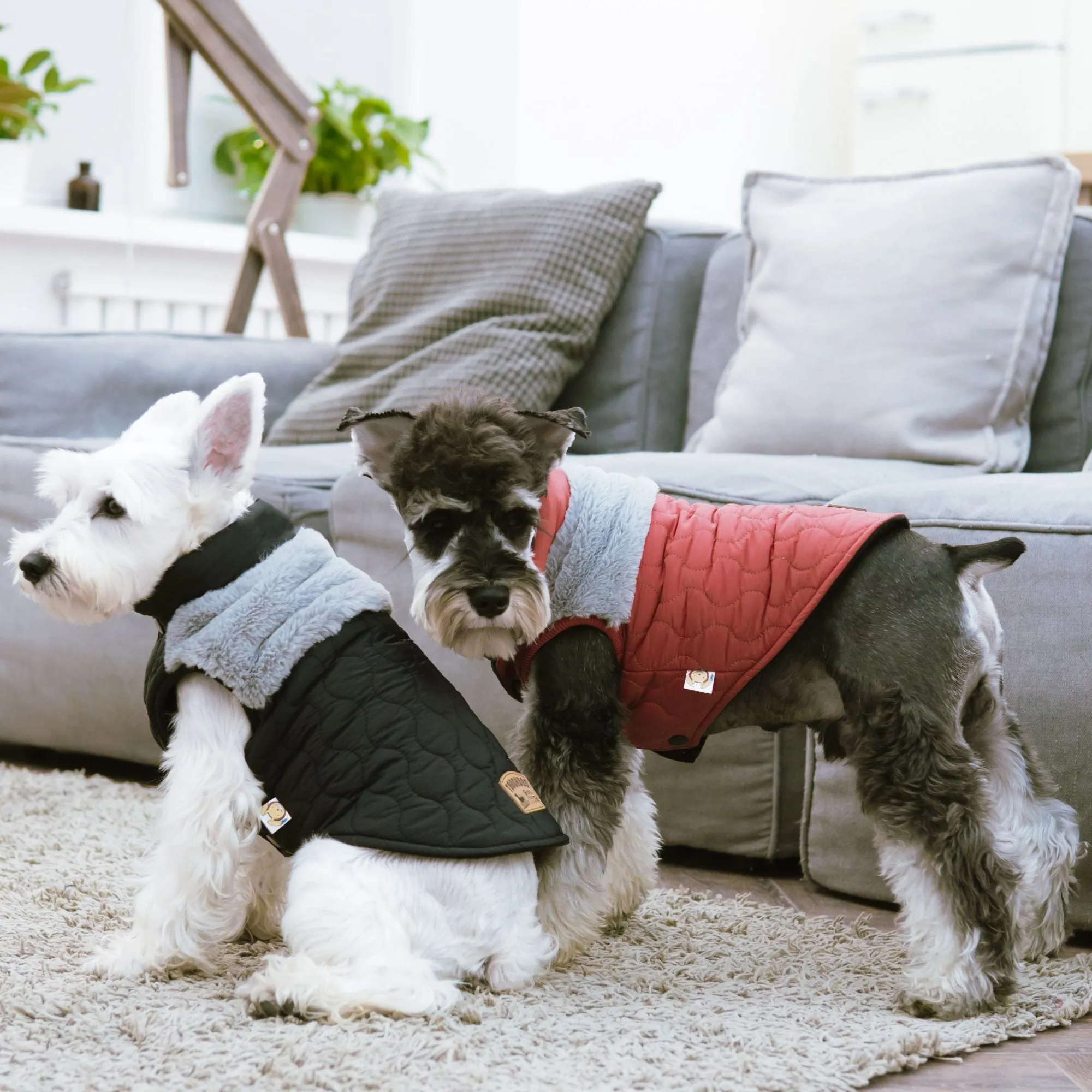 Dog Fleece Jacket