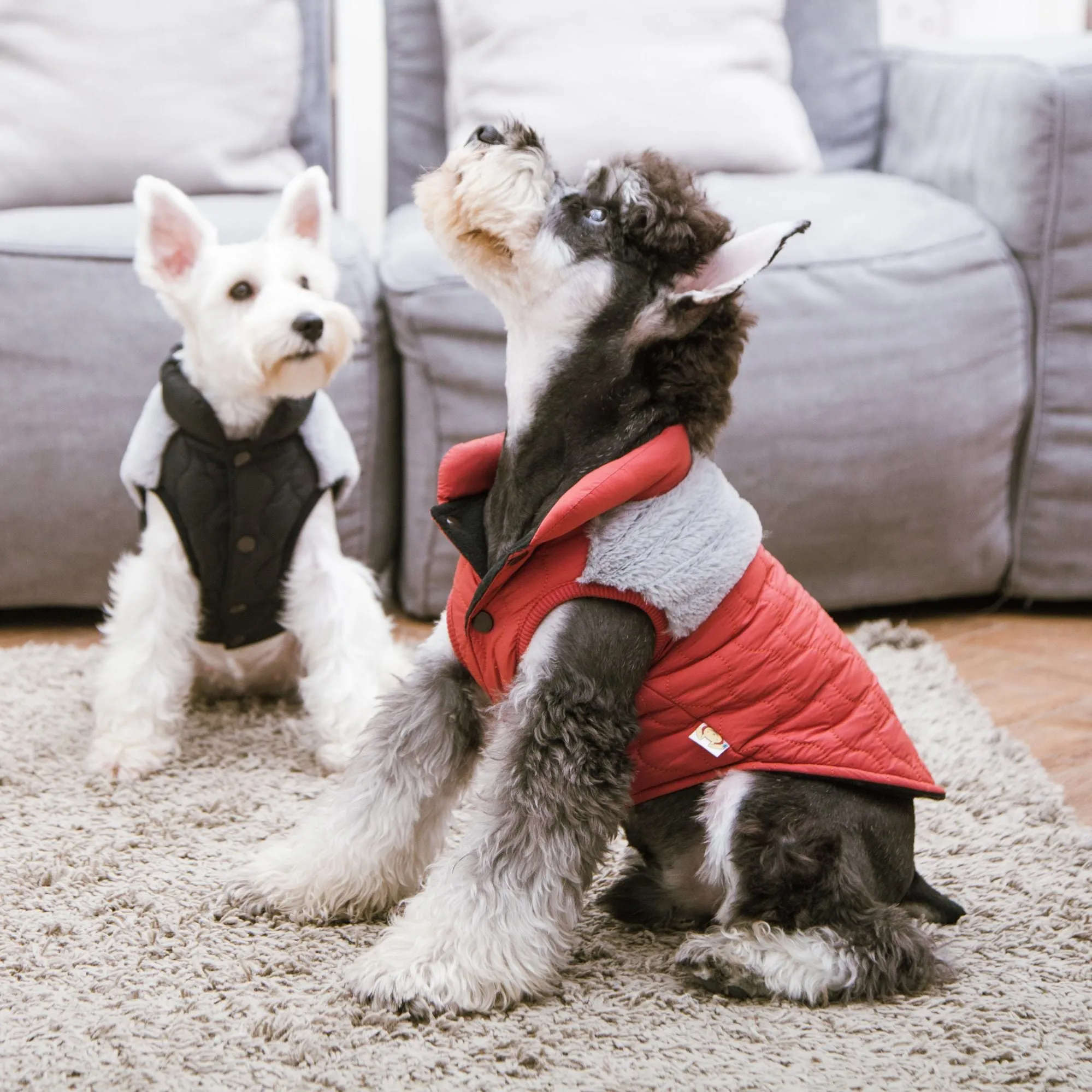 Dog Fleece Jacket