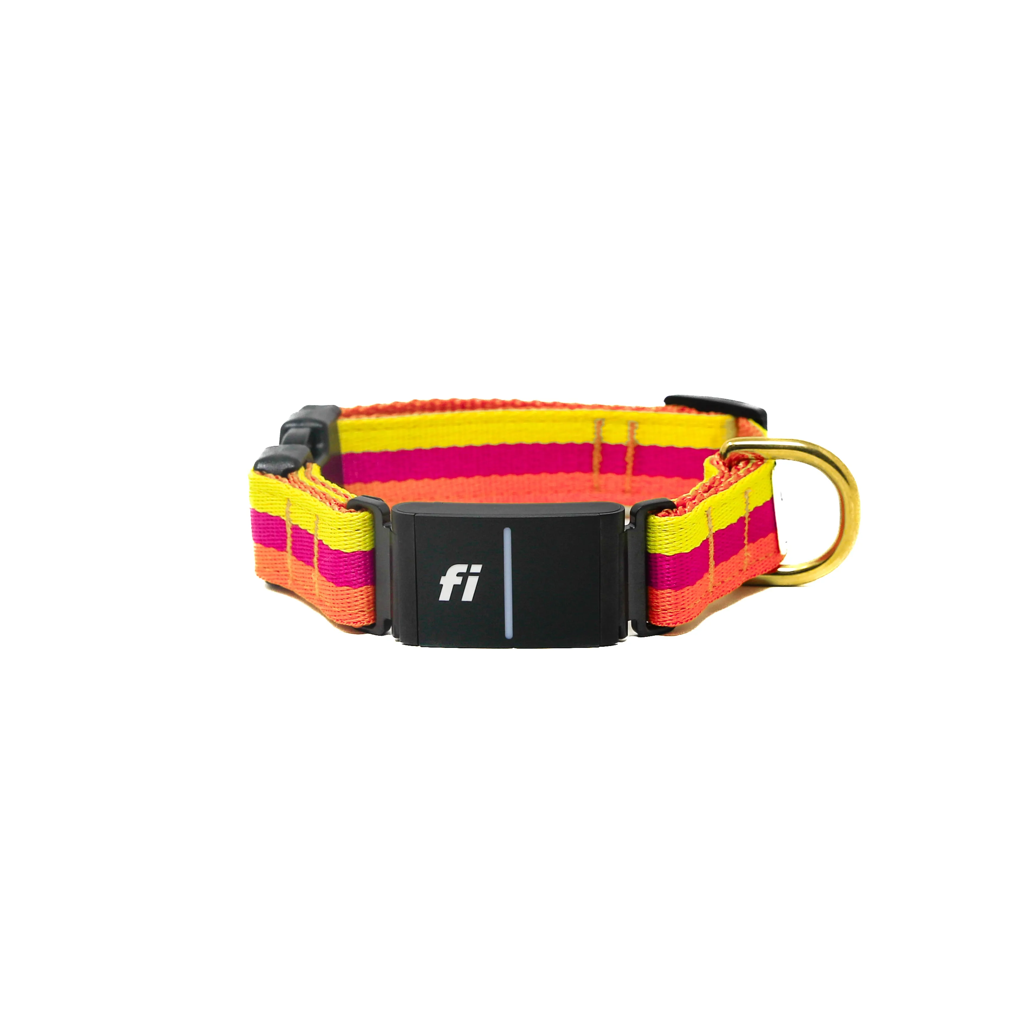 Fi Collar Band - Sunset