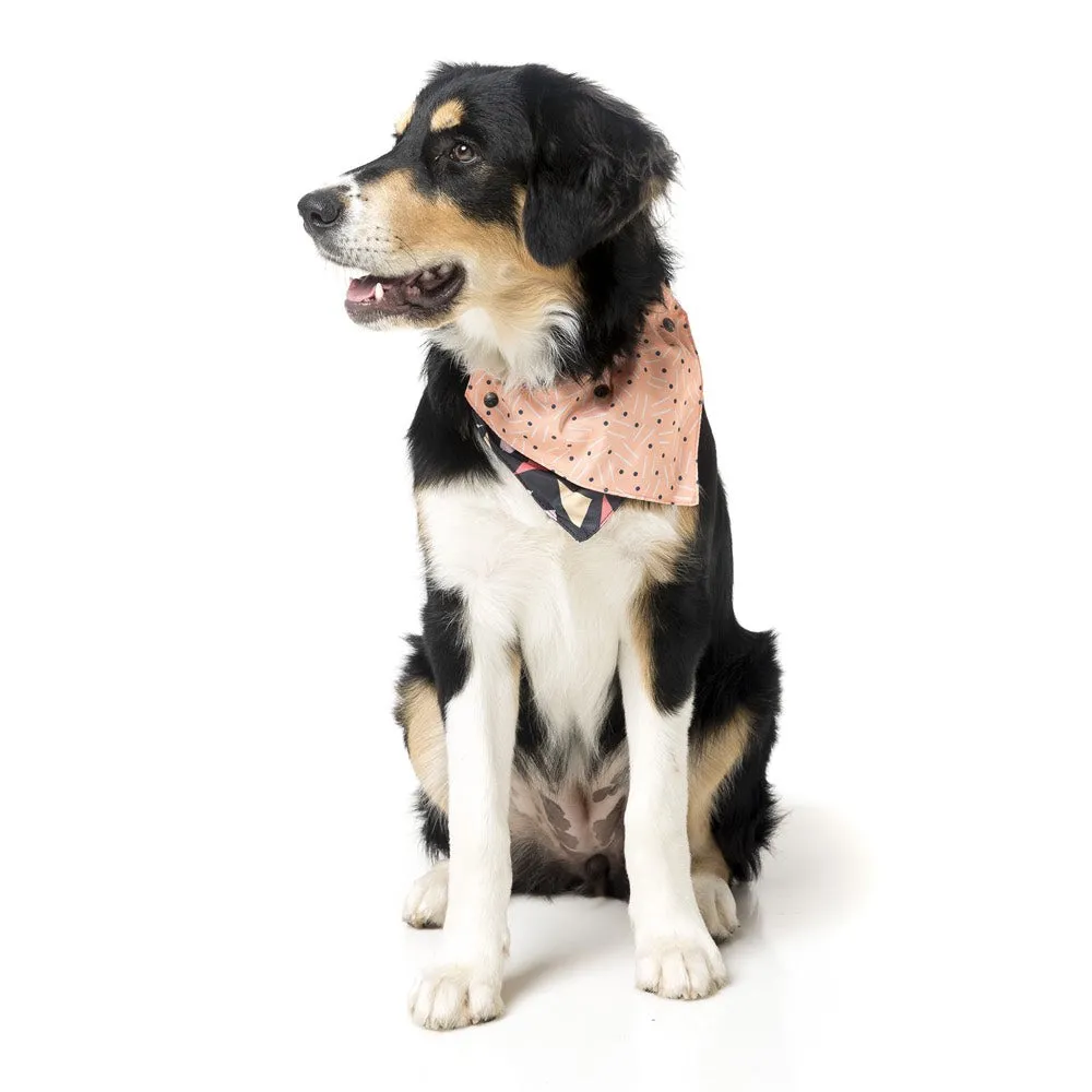 FuzzYard Rad Pet Bandana (discontinued)