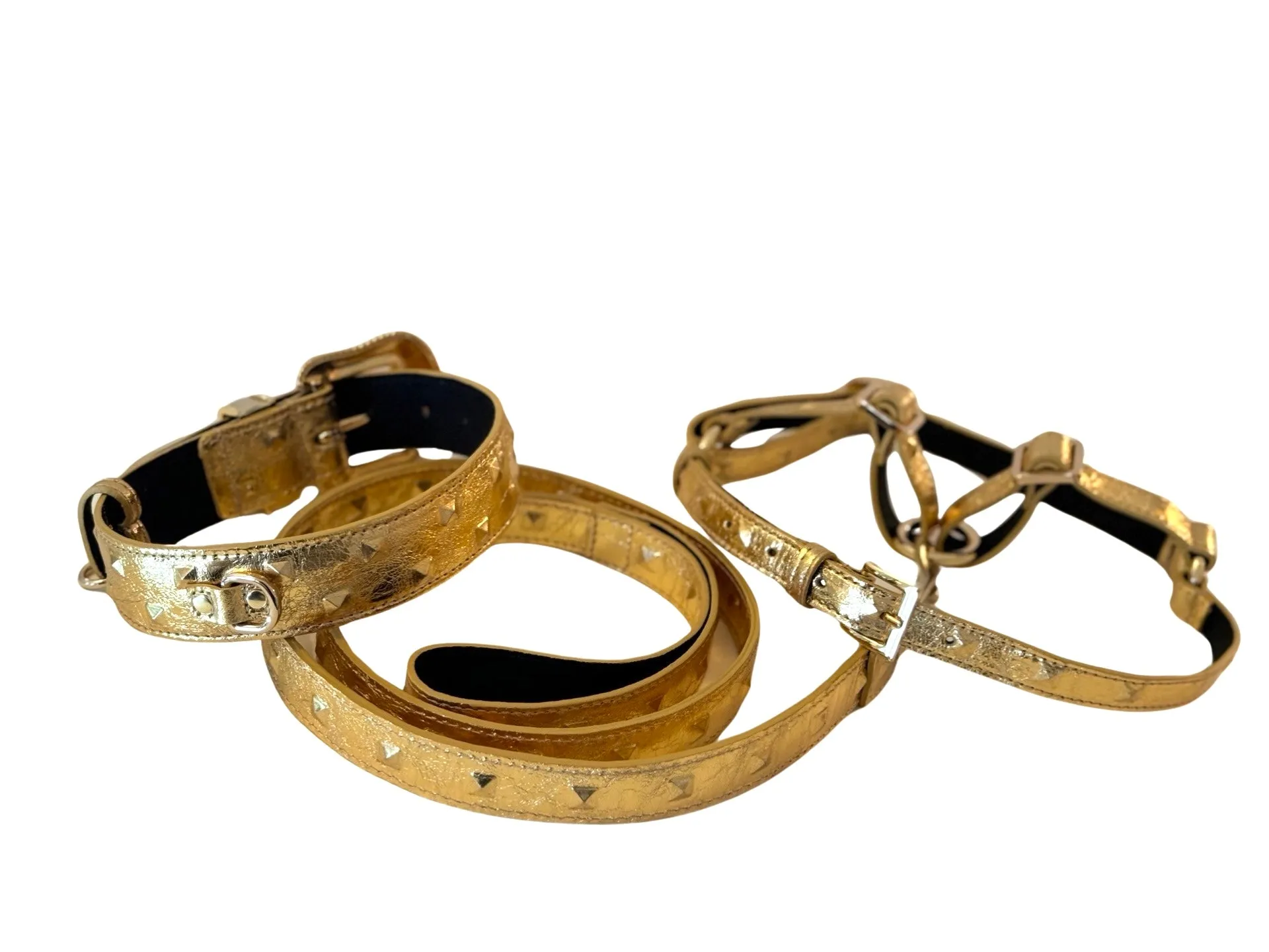 Glam Gold Embossed Studded Italian Leather Collar, Leash & Harness Set With Our Custom Swarovski Crystal Buckle