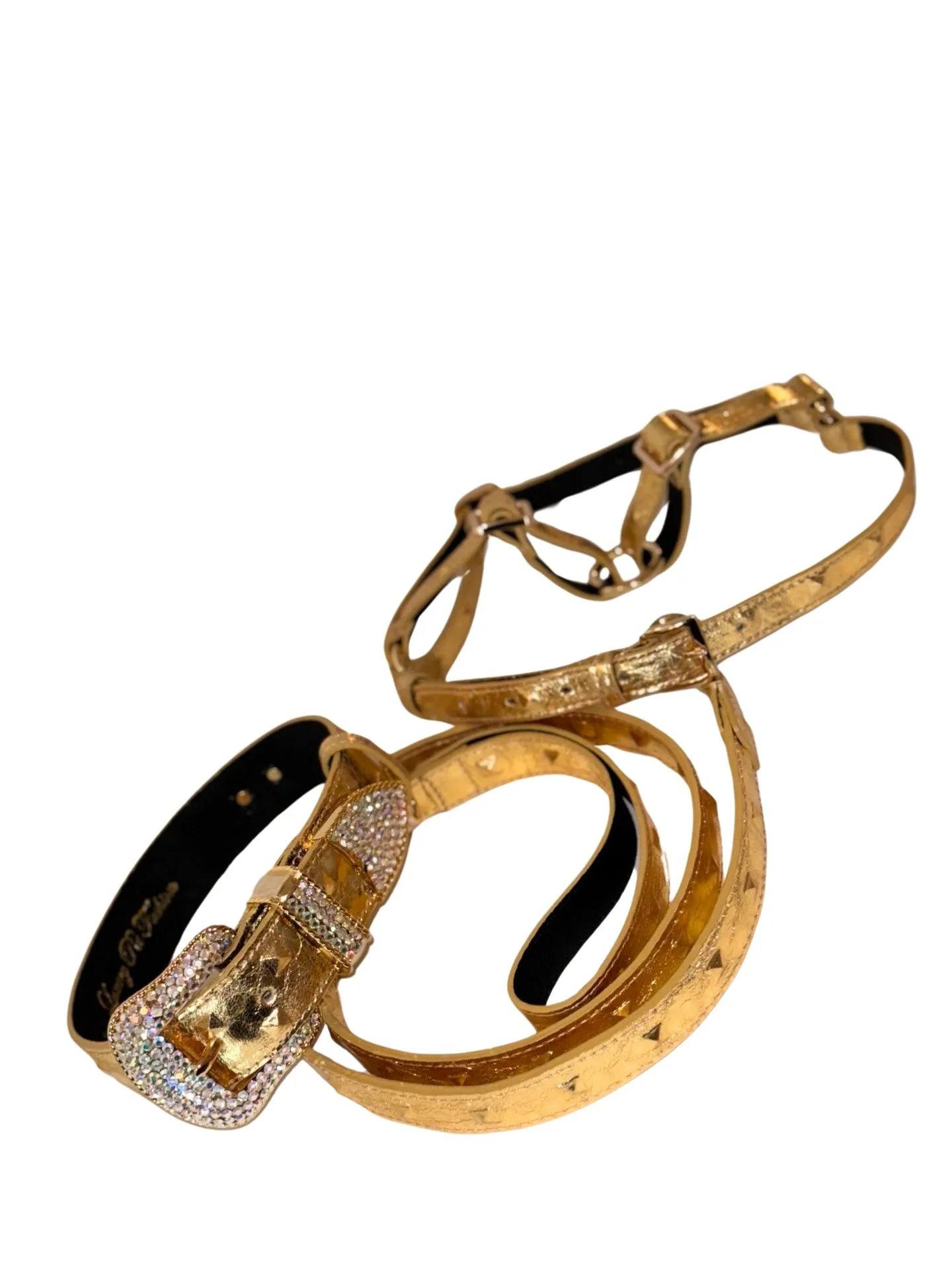 Glam Gold Embossed Studded Italian Leather Collar, Leash & Harness Set With Our Custom Swarovski Crystal Buckle