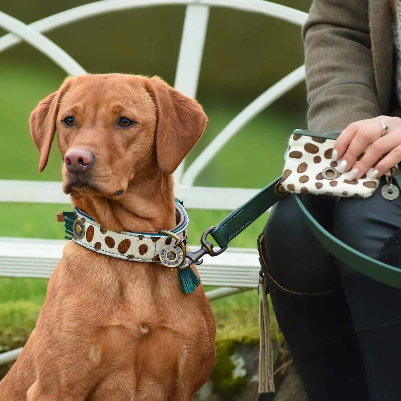 Ivy Dog Collar by DWAM