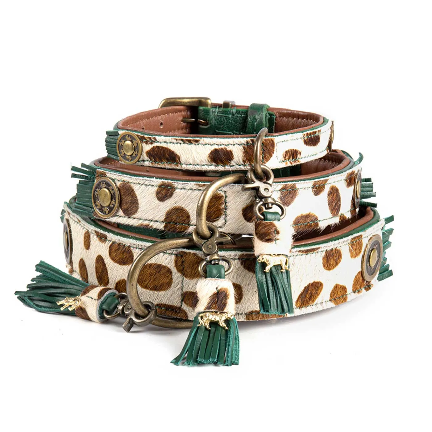 Ivy Dog Collar by DWAM