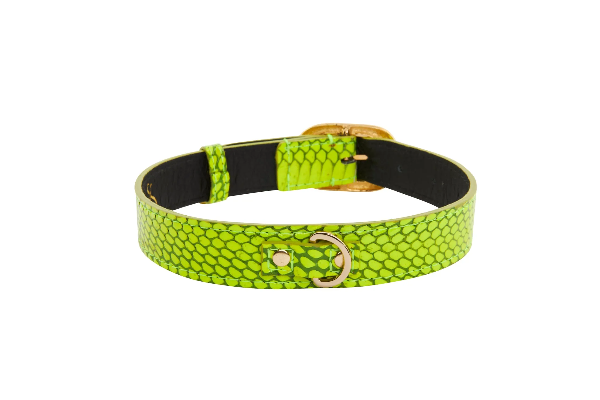 Neon Green Snake/Vintage Black & Gold Italian HardwareCollar