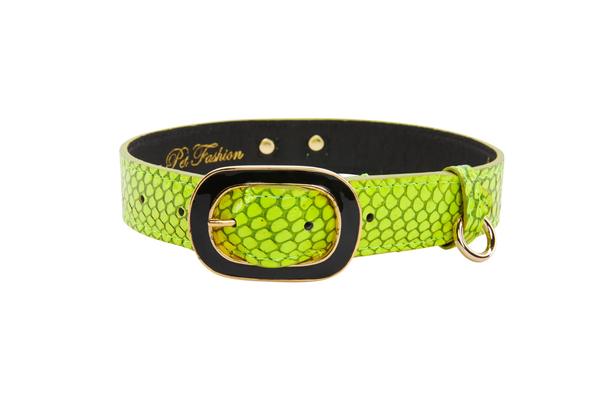 Neon Green Snake/Vintage Black & Gold Italian HardwareCollar