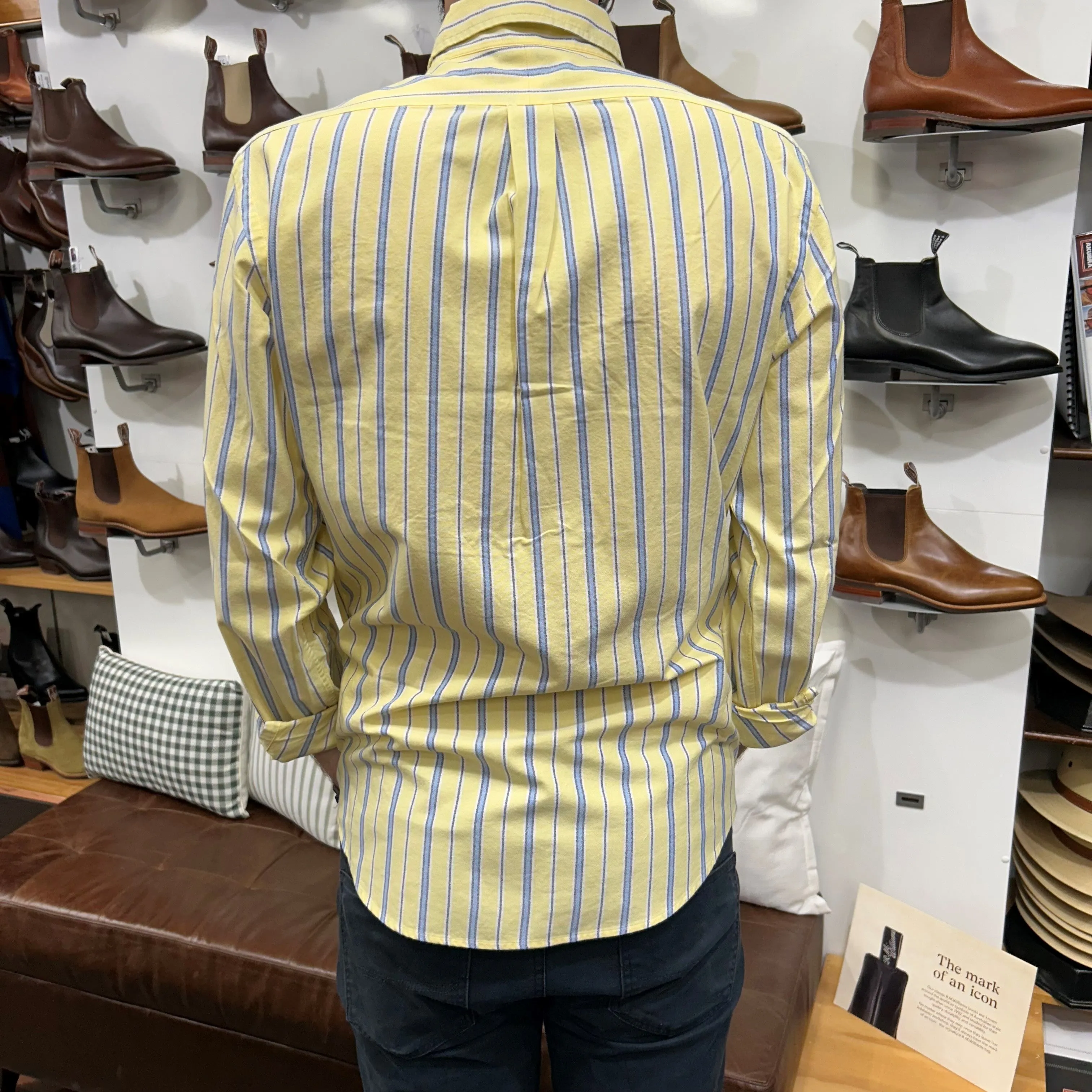 Oxford Shirt -  Stripe - Yellow, Blue, White