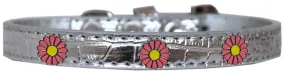 Pink Daisy Widget Croc Dog Collar Silver Size 18