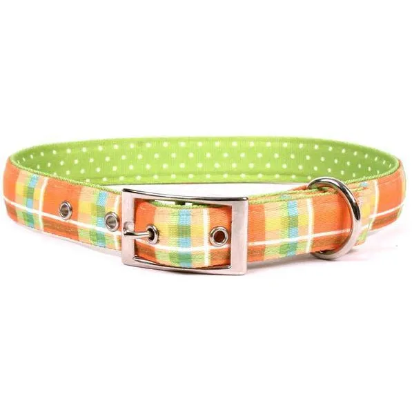 Yellow Dog Design Uptown Collar - Madras Orange